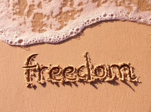 freedom-www.ediva.gr