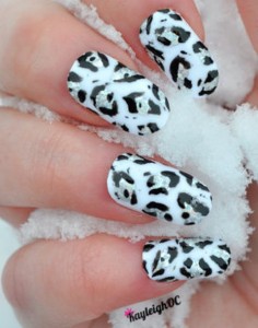 Snow Leopard nixia