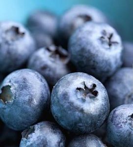 blueberries-nyxia