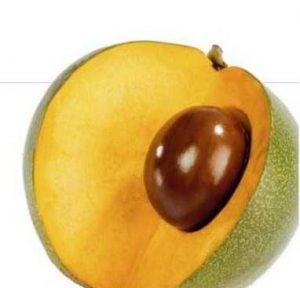 karpos-lucuma-skonh