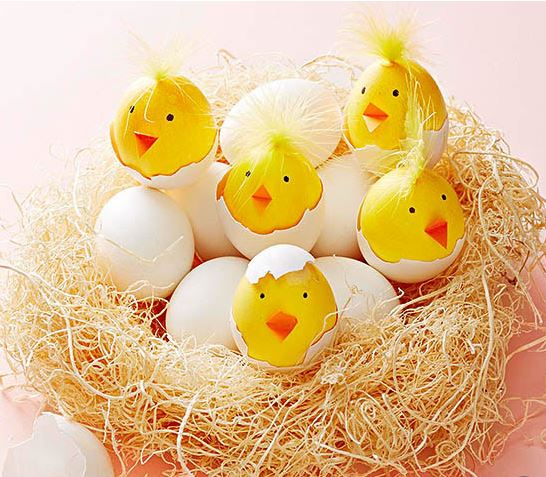 chirping chick eggs