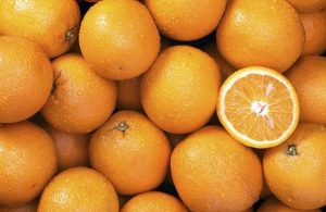 portokalia-frouta-symmaxos-kata-tis-kyttaritidas