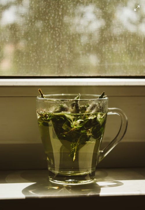 πράσινο τσάι αντιοξειδωτικά λαμπερό δέρμα