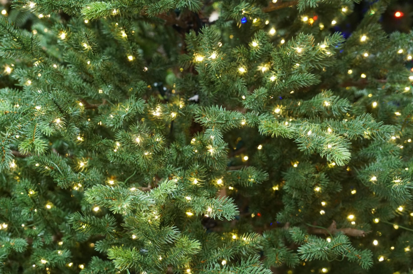 λαμπάκια στο χριστουγεννιάτικο δέντρο