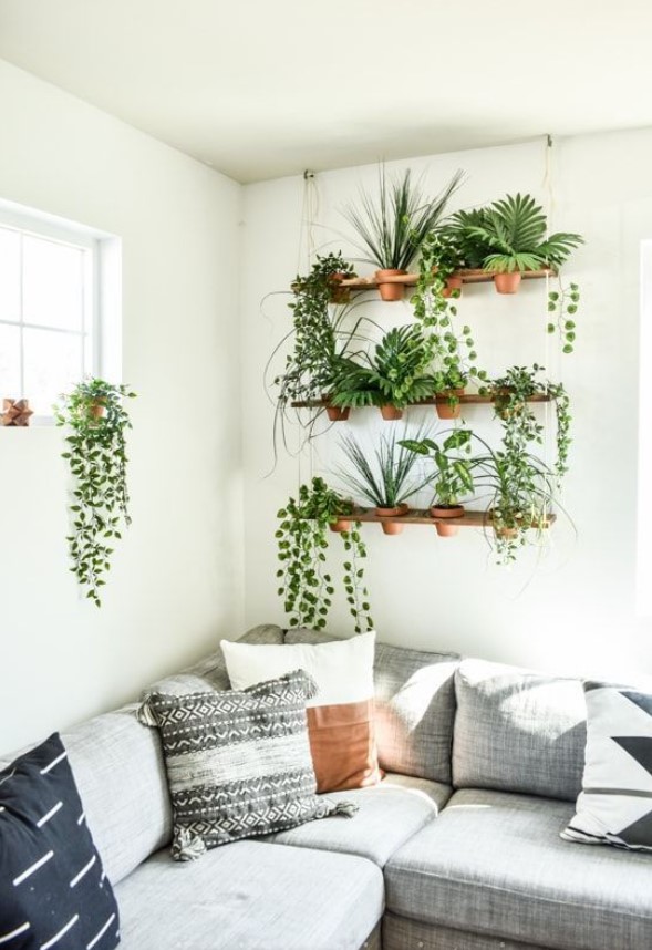 καναπές κρεμασμένα φυτά διακοσμητικά τοίχου άνοιξη